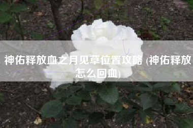 神佑释放血之月见草位置攻略 (神佑释放怎么回血)