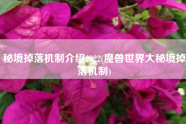 秘境掉落机制介绍2022(魔兽世界大秘境掉落机制)