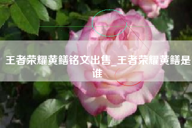 王者荣耀黄鳝铭文出售_王者荣耀黄鳝是谁