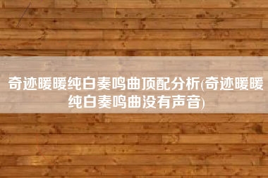 奇迹暖暖纯白奏鸣曲顶配分析(奇迹暖暖纯白奏鸣曲没有声音)