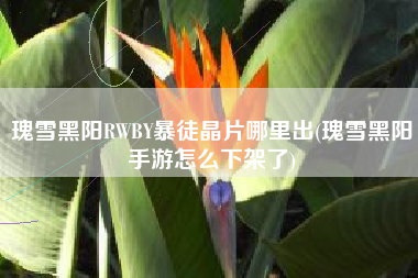 瑰雪黑阳RWBY暴徒晶片哪里出(瑰雪黑阳手游怎么下架了)