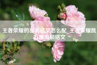 王者荣耀的出装铭文怎么配_王者荣耀凯万爆出装铭文