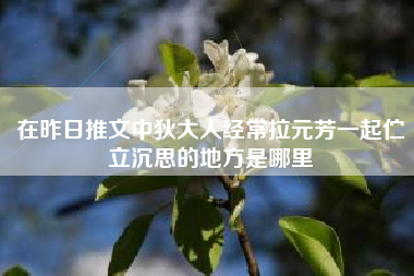 在昨日推文中狄大人经常拉元芳一起伫立沉思的地方是哪里