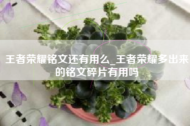 王者荣耀铭文还有用么_王者荣耀多出来的铭文碎片有用吗