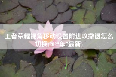 王者荣耀视角移动设置附进攻撤退怎么切换(2022年7最新)