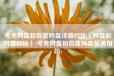 夸克网盘和百度网盘详细对比（网盘和网盘对比）(夸克网盘和百度网盘能通用吗)