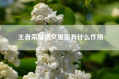 王者荣耀铭文里面有什么作用