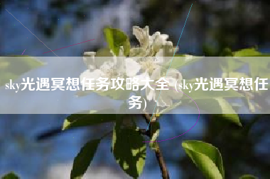 sky光遇冥想任务攻略大全 (sky光遇冥想任务)