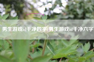 男生游戏id干净四字(男生游戏id干净六字)