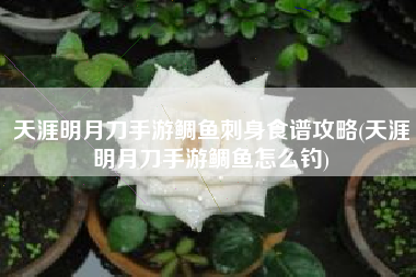 天涯明月刀手游鲷鱼刺身食谱攻略(天涯明月刀手游鲷鱼怎么钓)