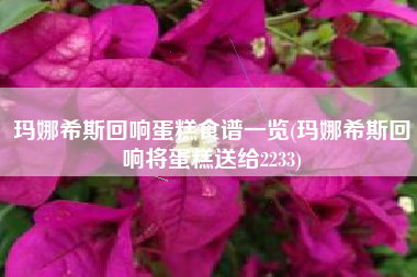 玛娜希斯回响蛋糕食谱一览(玛娜希斯回响将蛋糕送给2233)
