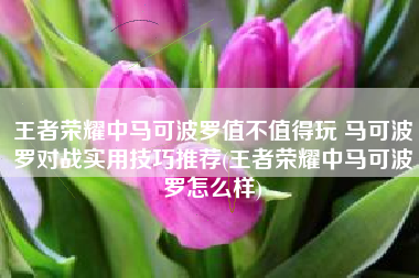 王者荣耀中马可波罗值不值得玩 马可波罗对战实用技巧推荐(王者荣耀中马可波罗怎么样)