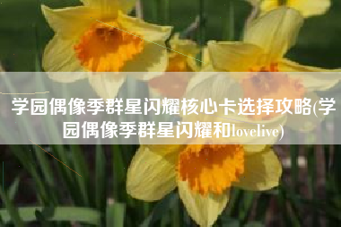 学园偶像季群星闪耀核心卡选择攻略(学园偶像季群星闪耀和lovelive)