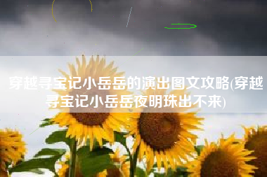 穿越寻宝记小岳岳的演出图文攻略(穿越寻宝记小岳岳夜明珠出不来)