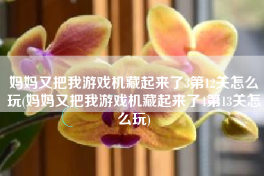 妈妈又把我游戏机藏起来了3第12关怎么玩(妈妈又把我游戏机藏起来了4第13关怎么玩)