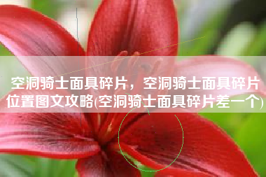 空洞骑士面具碎片，空洞骑士面具碎片位置图文攻略(空洞骑士面具碎片差一个)