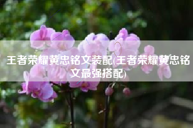 王者荣耀黄忠铭文装配(王者荣耀黄忠铭文最强搭配)