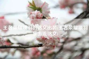 王者荣耀项羽的铭文出装(王者荣耀项羽暴击流铭文)