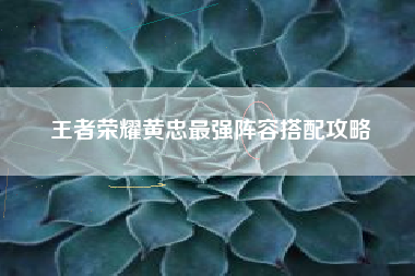 王者荣耀黄忠最强阵容搭配攻略