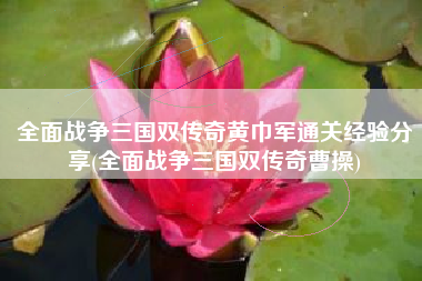 全面战争三国双传奇黄巾军通关经验分享(全面战争三国双传奇曹操)