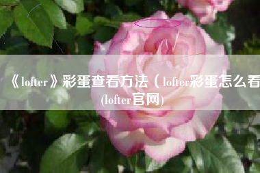 《lofter》彩蛋查看方法（lofter彩蛋怎么看(lofter官网)