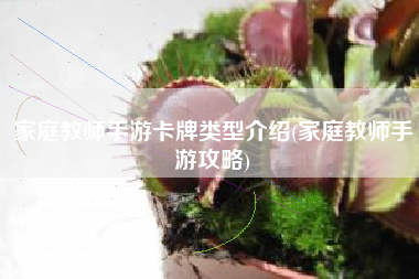 家庭教师手游卡牌类型介绍(家庭教师手游攻略)