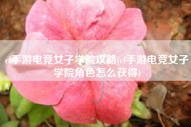 cf手游电竞女子学院攻略(cf手游电竞女子学院角色怎么获得)