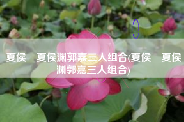 夏侯惇夏侯渊郭嘉三人组合(夏侯惇夏侯渊郭嘉三人组合)