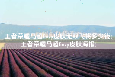 王者荣耀马超fmvp皮肤无双飞将多少钱(王者荣耀马超fmvp皮肤海报)