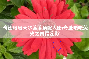 奇迹暖暖天水莲落顶配攻略(奇迹暖暖荧光之灵霜莲影)