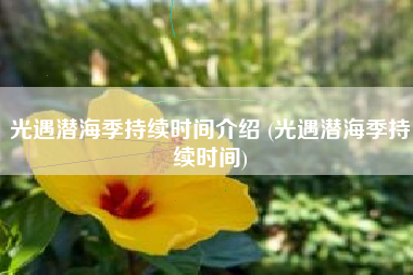 光遇潜海季持续时间介绍 (光遇潜海季持续时间)