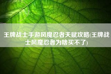王牌战士手游风魔忍者天赋攻略(王牌战士风魔忍者为啥买不了)