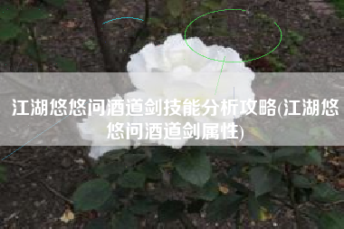 江湖悠悠问酒道剑技能分析攻略(江湖悠悠问酒道剑属性)