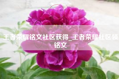 王者荣耀铭文社区获得_王者荣耀社区领铭文