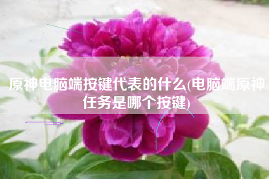 原神电脑端按键代表的什么(电脑端原神任务是哪个按键)