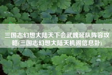 三国志幻想大陆天下会武魏延队阵容攻略(三国志幻想大陆天机阁信息卦) 三国志幻想大陆天下会武魏延队阵容攻略(三国志幻想大陆天机阁信息卦)
