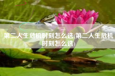 第二人生危机时刻怎么选(第二人生危机时刻怎么选)