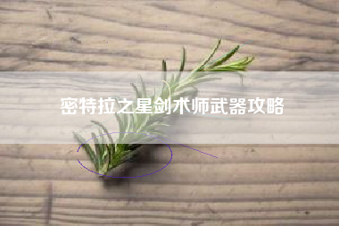 密特拉之星剑术师武器攻略