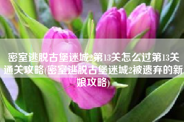 密室逃脱古堡迷城2第13关怎么过第13关通关攻略(密室逃脱古堡迷城2被遗弃的新娘攻略)