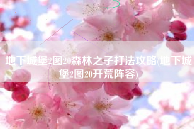 地下城堡2图20森林之子打法攻略(地下城堡2图20开荒阵容)