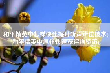 和平精英中怎样快速提升听声辨位技术(和平精英中怎样快速获得物资币)