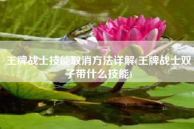 王牌战士技能取消方法详解(王牌战士双子带什么技能)