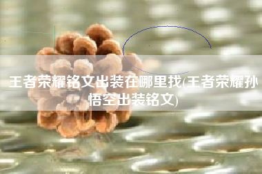 王者荣耀铭文出装在哪里找(王者荣耀孙悟空出装铭文)