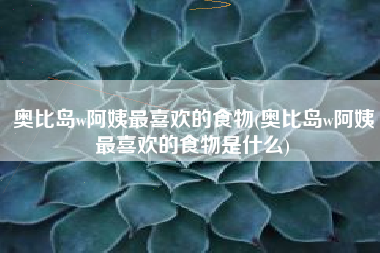 奥比岛w阿姨最喜欢的食物(奥比岛w阿姨最喜欢的食物是什么)