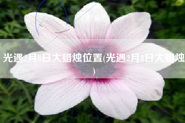 光遇2月8日大蜡烛位置(光遇2月8日大蜡烛)