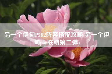 另一个伊甸P5R2阵容搭配攻略(另一个伊甸p5r联动第二弹)
