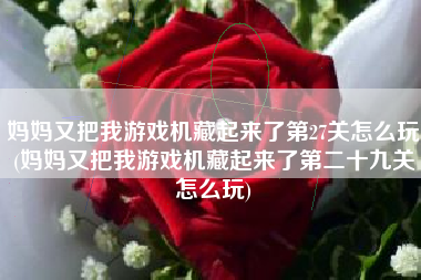 妈妈又把我游戏机藏起来了第27关怎么玩(妈妈又把我游戏机藏起来了第二十九关怎么玩)
