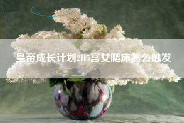 皇帝成长计划2H5宫女爬床怎么触发