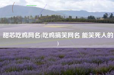甜芯吃鸡网名(吃鸡搞笑网名 能笑死人的)