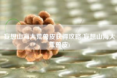 妄想山海大荒兽皮获得攻略(妄想山海大荒兽皮)